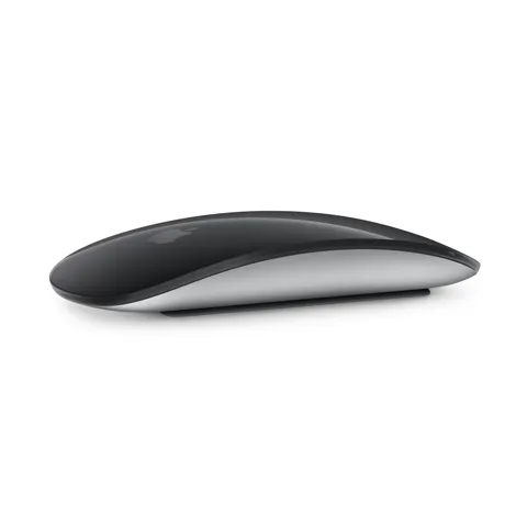 Magic Mouse (Lacrado)